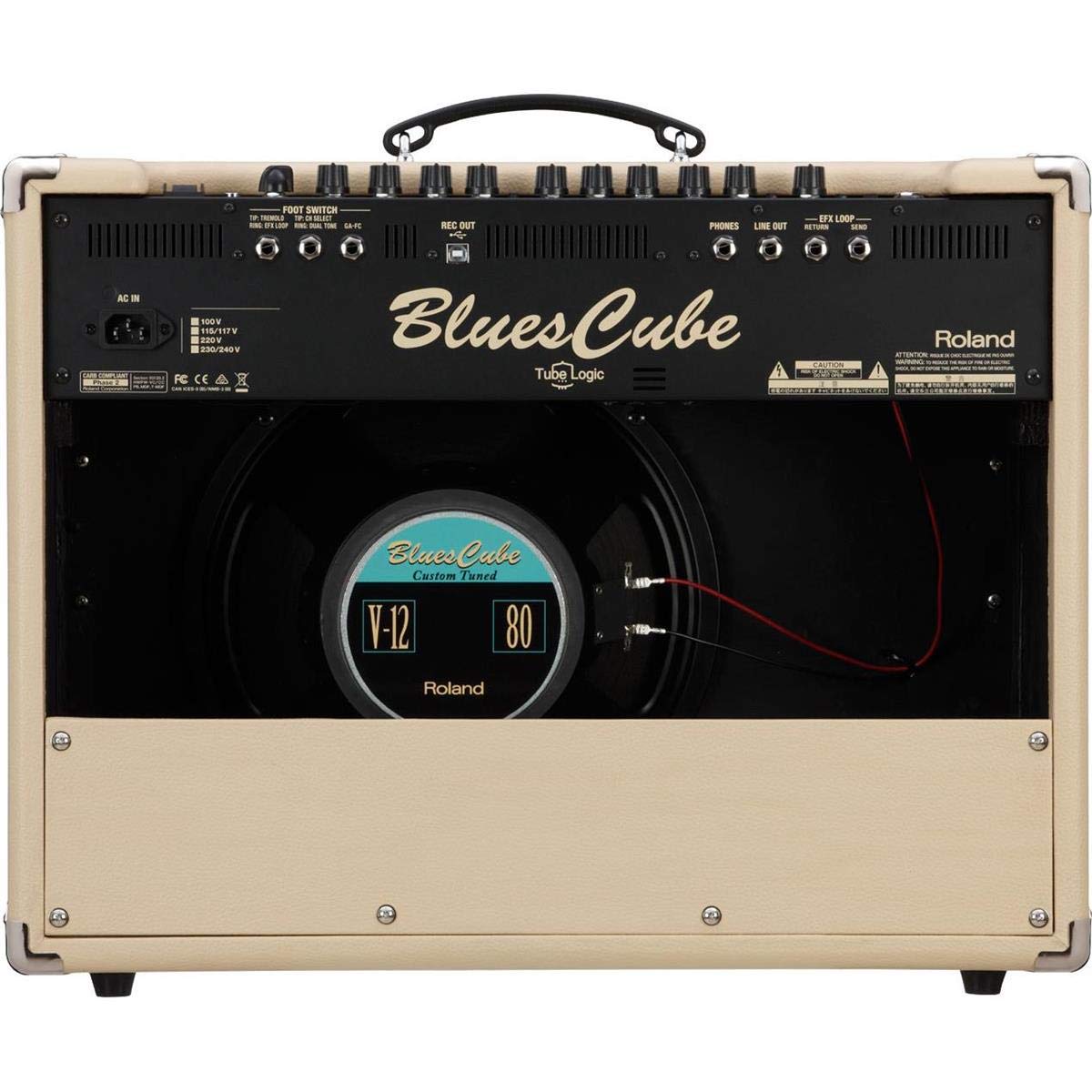 Amazon.com: Roland BC-ARTIST | Blues Cube Tube Tone USB Output 