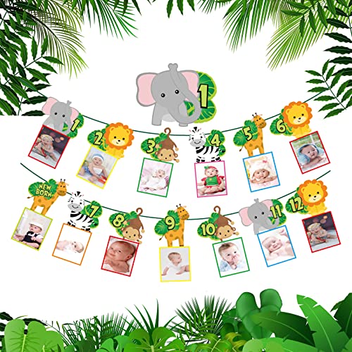 Guirlande Photo 1er Anniversaire, Comius Sharp 12 Mois Animaux de la Jungle Sauvage Un Premier Anniversaire Décoration, Enfants Mensuel Photo Prop pour Fête Décor Filles/Garçon Cover