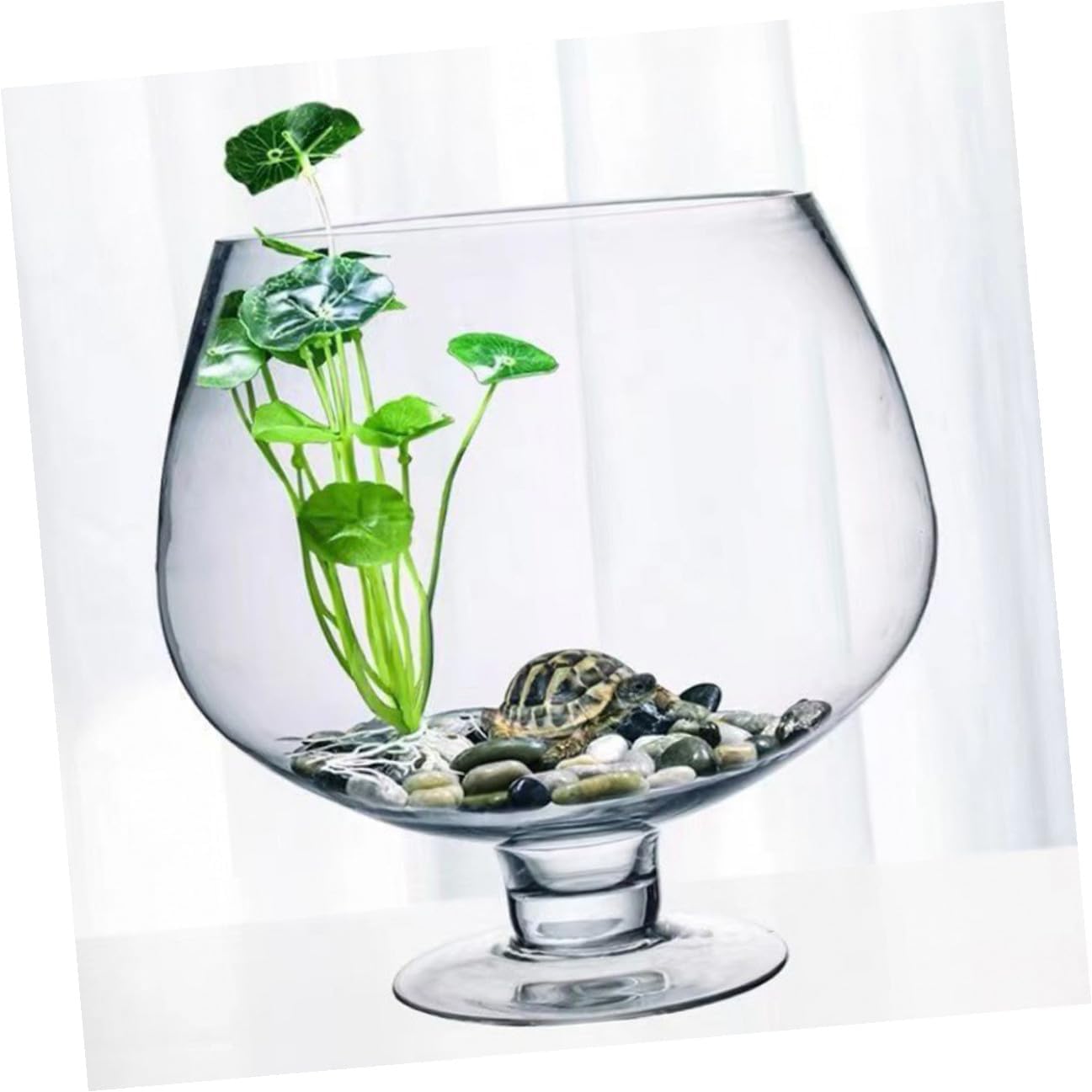 HOMSFOU Glass Tabletop Goldfish Tank 4000ml Desktop Aquarium Betta Fish Bowl Hydroponic Vase for Office and Home Decor