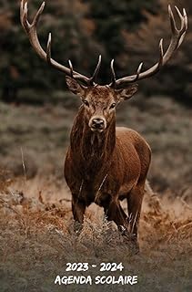 Agenda Scolaire 2023 2024 Cerf: Organisateur Semainier une semaine Par deux Pages,Planificateur Scolaire Pour Étudiants (primaire,Collège,lycée, université)