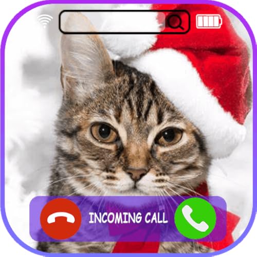 Insant Call from Chrismas Cat - video call with Chrismas Cat - Prank Video Call & Voice Call from Ch