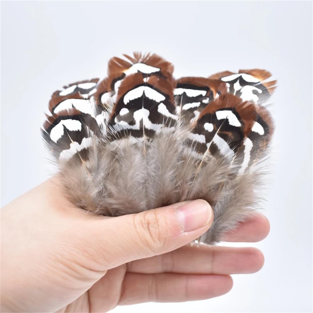 Naturalne pióra bażanta, Naturalne pióra bażanta Multicolor 3-7cm 20-200 szt. Do wyrobu biżuterii rzemiosło DIY(20 Piece)