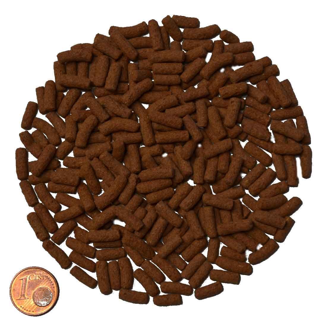 Futtersticks für Cichliden – Premium Hauptfutter für gesunde & farbenprächtige Fische (10000 Gramm)