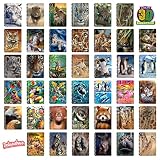 3D LiveLife Jotter - Cheetah Clan od Deluxebase. Soczewkowy kołonotatnik A6 z motywem dużego kota 3D. Gładkie kartki. Papier z recyklingu. Dzieło na licencji. Renomowany artysta, David Penfound