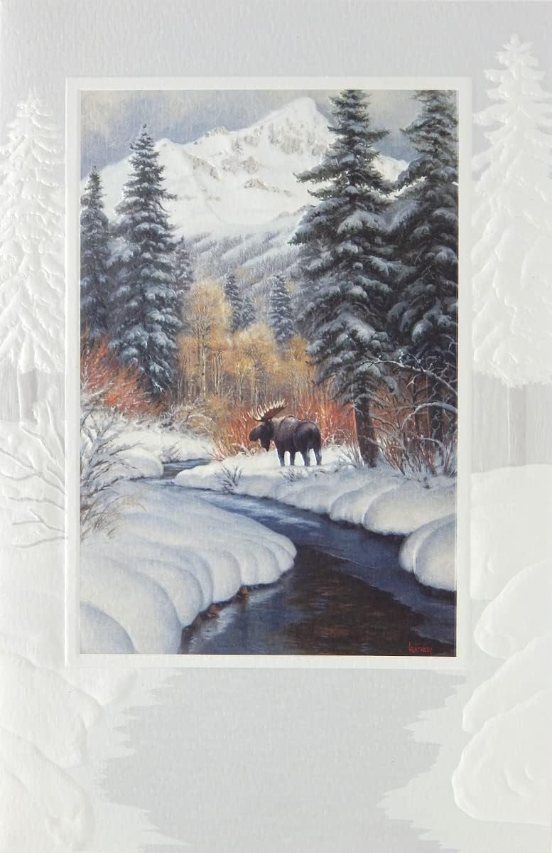 Embossed Christmas Greeting Cards Boxed Set – Winter Blanket, 16 Count