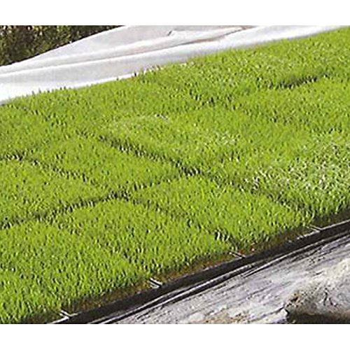 1.5m × 50m  t ؂ Ռlbg N-1500  JX ANCI ^ s