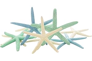 Green, Blue & White Assorted Starfish for Decorating, Beach Wedding, Wall, Crafts