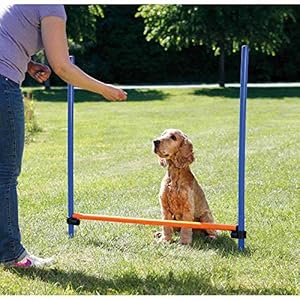 TRIXIE Dog Agility Hurdle – Dog Jump with Height Adjustable Crossbar, Dog Agility Hurdle Ideal for Beginners & Advanced, Dog Agility Equipment for Dog Obstacle Courses – 1 x Dog Hurdle