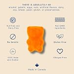 Multi+ Gummy pour les enfants - Vitamines et nutriments végétaliens sans allergène - 240 Nombre de halal multivitamines (2 mois d'approvisionnement)