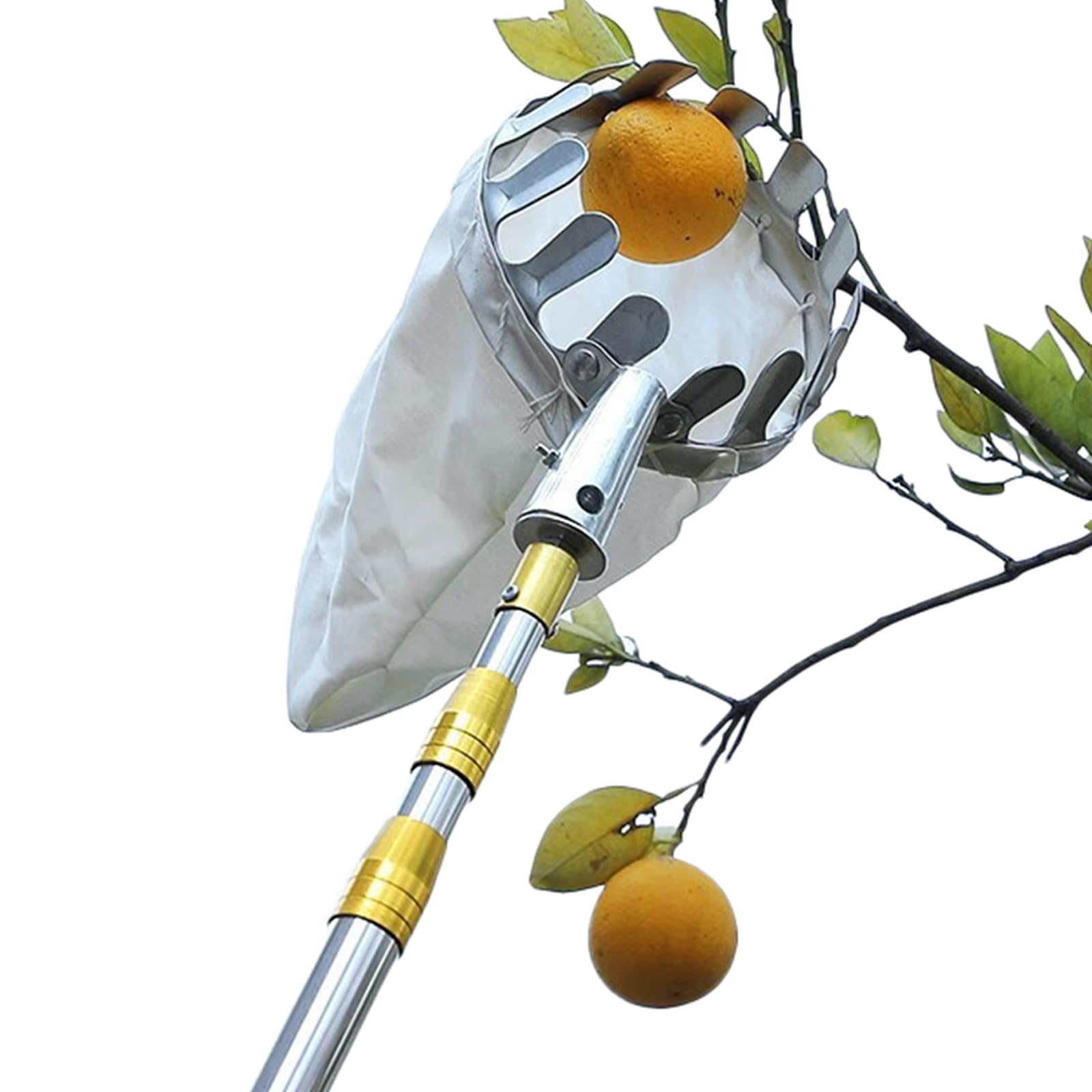 Obstpflücker mit Teleskopstiel und Stoffbeutel Apfelpflücker Diameter 15 cm Obstsammler aus Edelstahl Kirschenpflücker Pflaumenpflücker Obstgreifer Einfach zu Montieren
