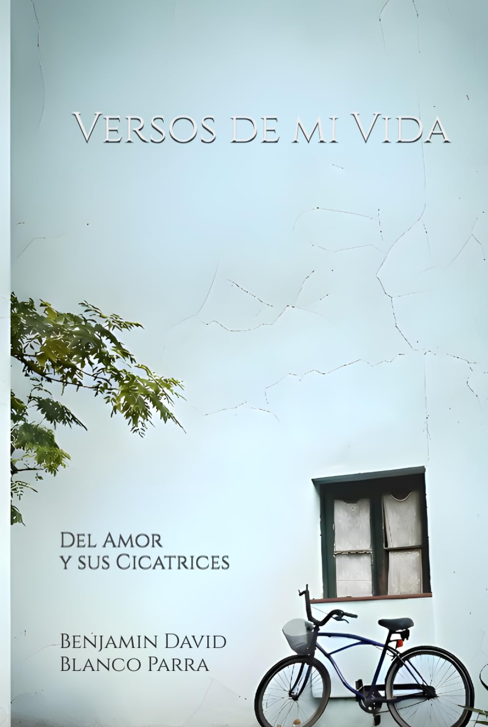 Versos de mi Vida: Del Amor y sus Cicatrices