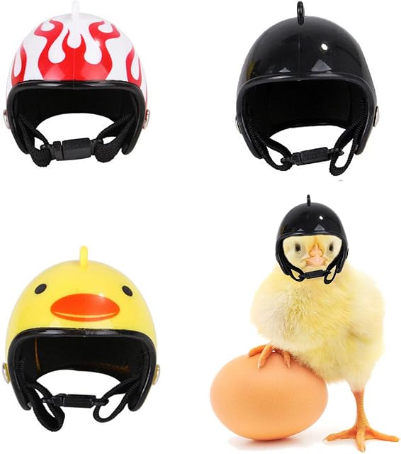 Duyteop Pack of 3 Chicken Helmet Headgear, Pet Chicken Helmet, Compact Chicken Helmet, for Chicken, Duck, Bird and Other Flying Head Protection, 3 Colours, 4 x 4.5 cm