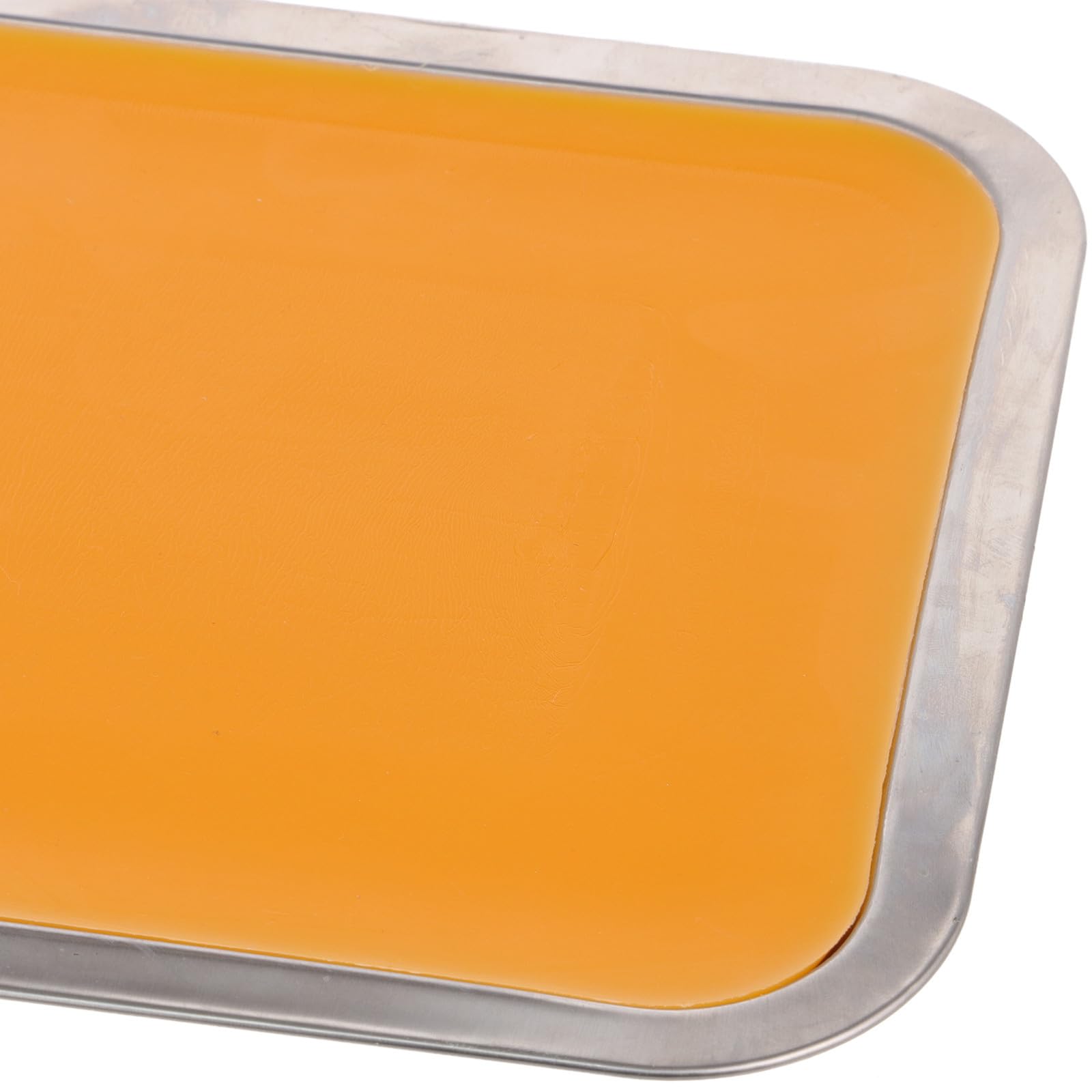 EXCEART Vassoio di Dissezione in Acciaio Inossidabile con Cera, Facile da Usare e Portatile, per Scopi Didattici e Taglio Carta, Dimensioni 21x31 Cm