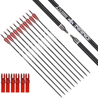 Carbon Arrow Hunting Arrows with 100 Grain Removable Tips for Archery Compound & Recurve & Traditional Bow Practice Shooting (Pack of 12)