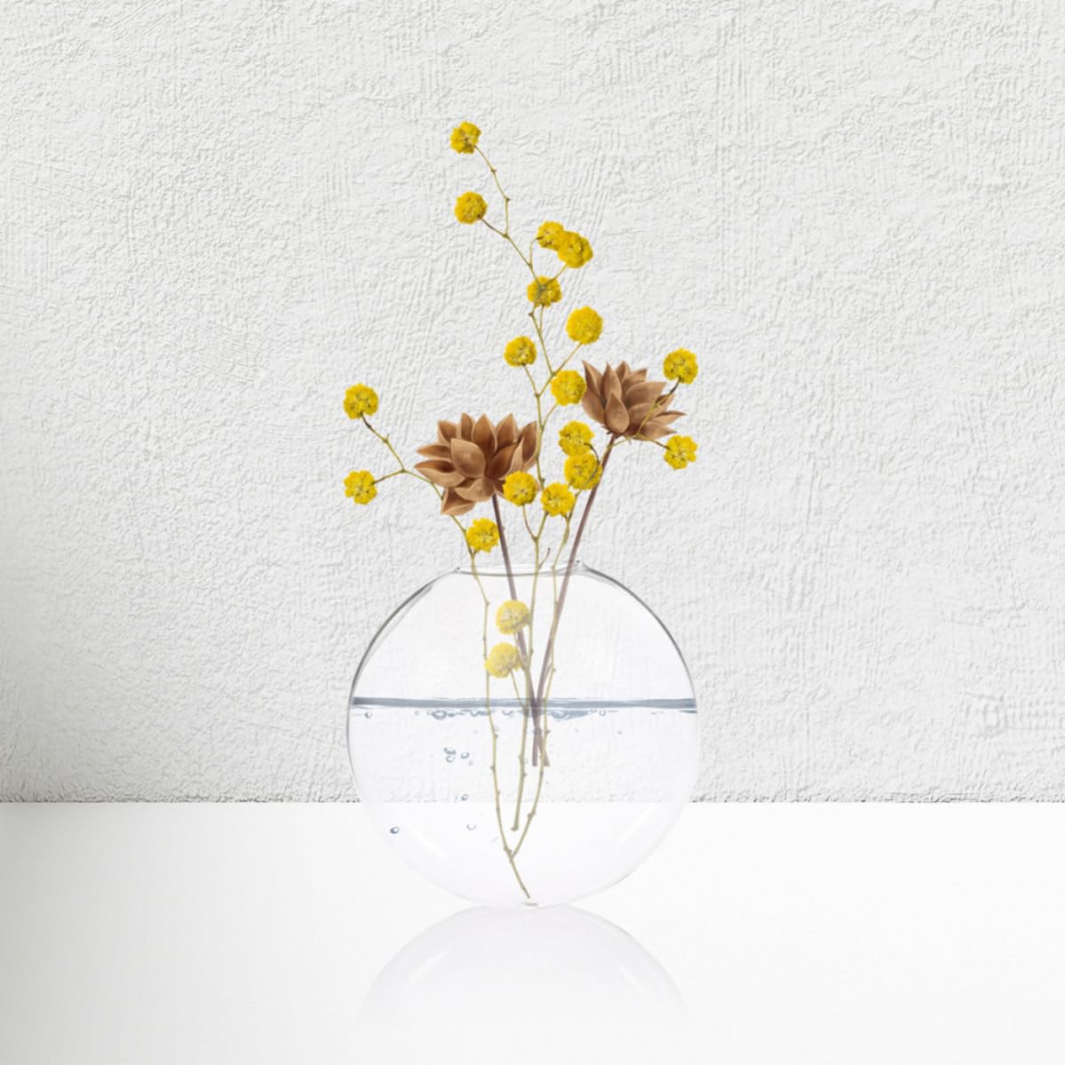 Lot de 6 Vases Muraux en Verre pour Hydroponie, Design Gain de Place et Polyvalent, pour Plantes Hydroponiques et Décoration Intérieure