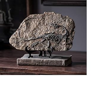 Top Grade Monolophosaurus Fossil Resin Dinosaur Skull Model Halloween Gifts Home Decoration-in