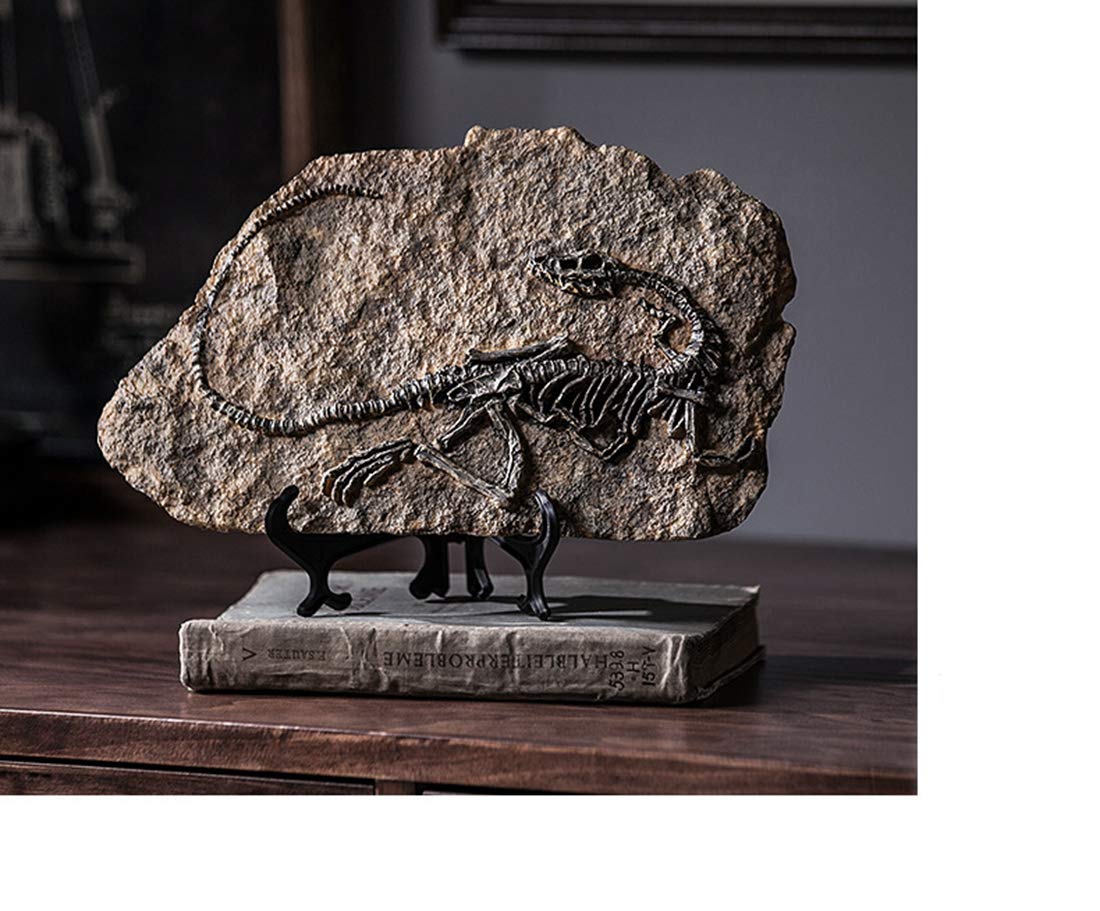 XINDAM Resin Dinosaur Fossil Statue Model Simulated Skeleton Home Office Display Decorative Craft Box Decoration (Style 1)