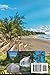 REUNION ISLAND TRAVEL GUIDE 2026: Volcanic Landscapes and Creole Life in the Indian Ocean, From Lava Trails and Secret Lagoons to Local Flavors, Festivals, and Wellness Escapes in Africa