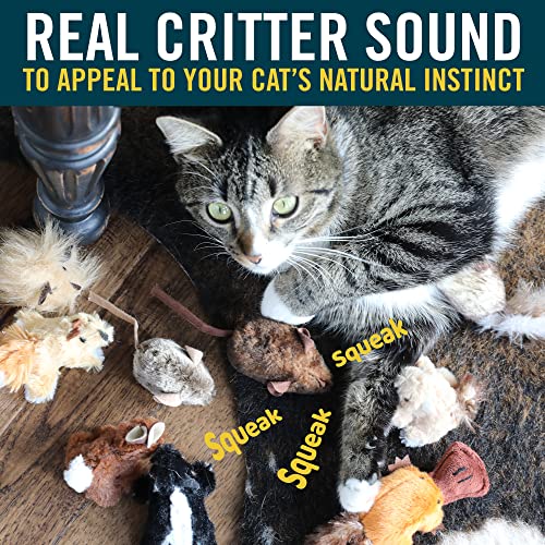 image for OurPets Play-N-Squeak Mouse Hunter Cat Toys (Interactive Cat Toy & Cat