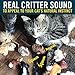 OurPets Play-N-Squeak Mouse Hunter Cat Toys (Interactive Cat Toy & Catnip Toy with Real Mouse Electronic Sound) Perfect Toys for Indoor Cats with Catnip