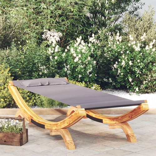 Fasba Tumbona de Exterior con Almohada para relajación en jardín o Patio - Madera Maciza y Tela fácil de Limpiar Modelo DSXFCLYD-313948ES