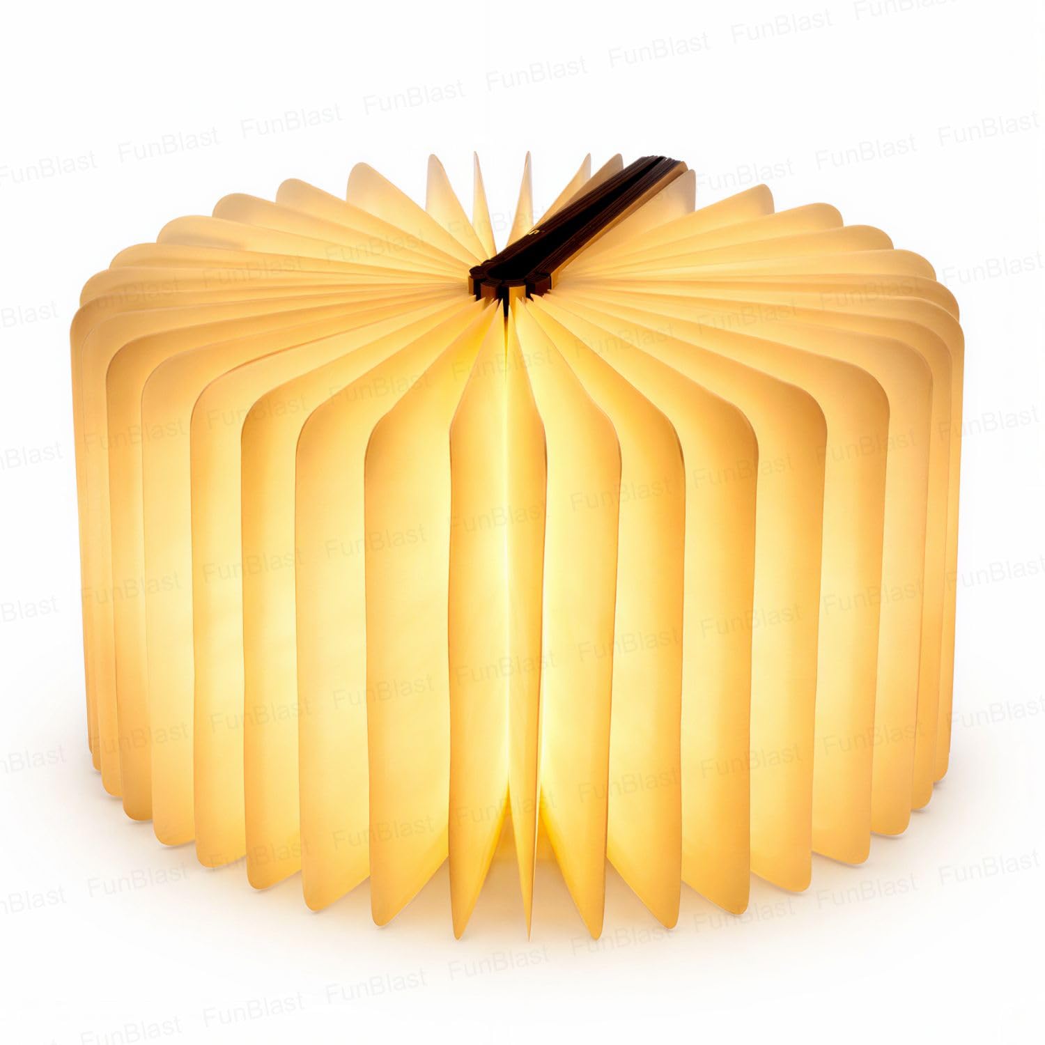 FunBlast Magic Book Lamp, Foldable LED Book Light, USB Rechargeable Wooden Table Lamp, Magnetic Night Light, Book Shaped Lamp, 2 Color Warm White Modes, Home Office Decor, Birthday Gift (Pack of 1)