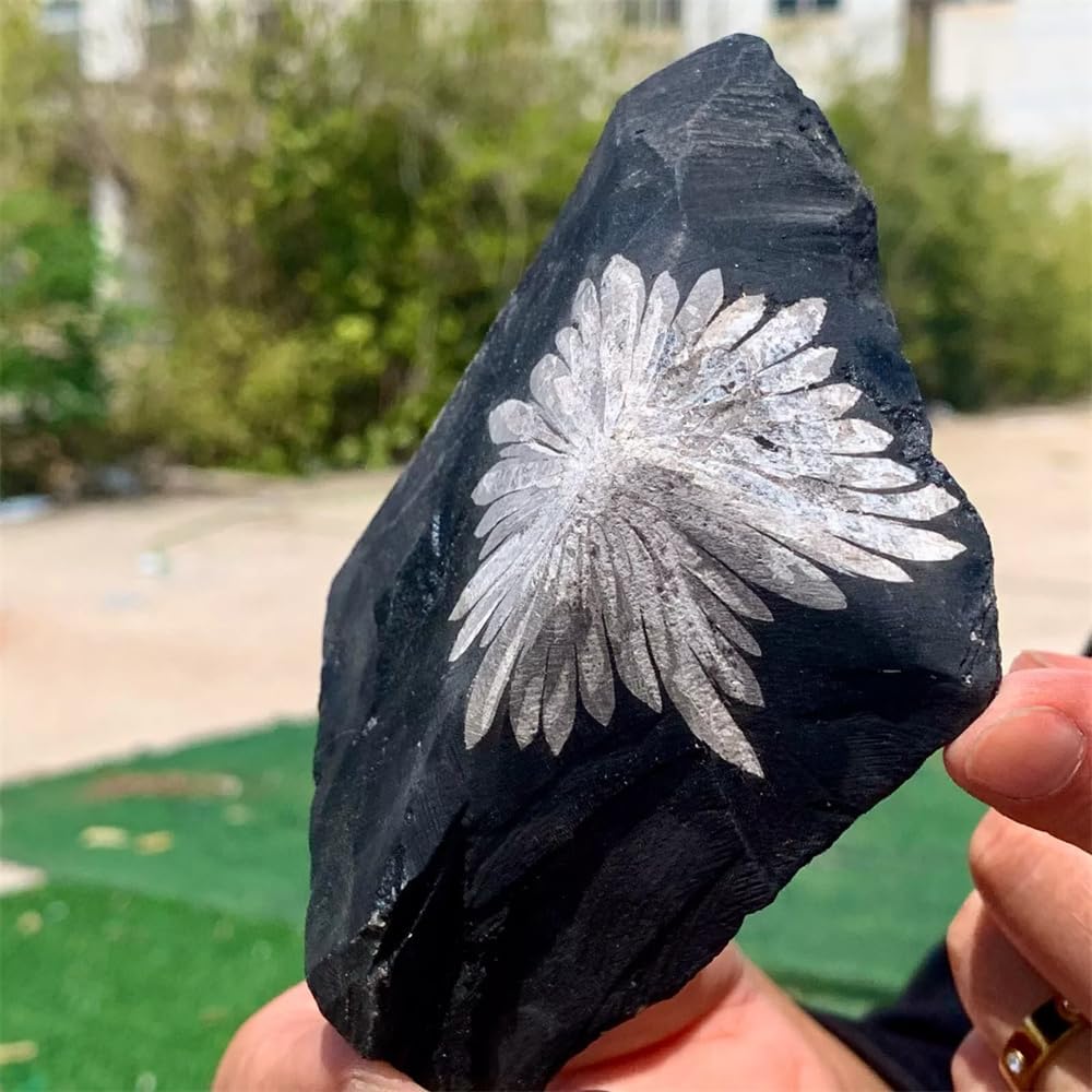 1pc 160-180g Chrysanthemum Stone Quartz Carved Halo Gifts Gems