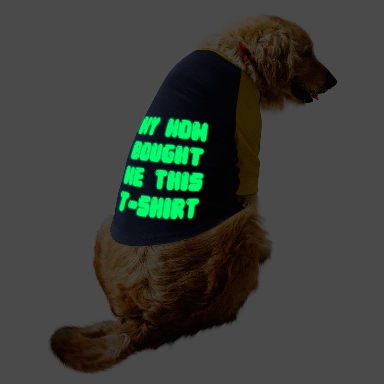 Ruse Pet Clothes My Mom Bought Me This Tshirt Glow in The Dark Printed Full Sleevess Round Neck Raglan Dog Streetwear T-Shirt/Tees Apparel for Dogs./X-Large (Full Grown Retrievers, Labs etc.) (B087C5F4M9) Amazon Price History, Amazon Price Tracker