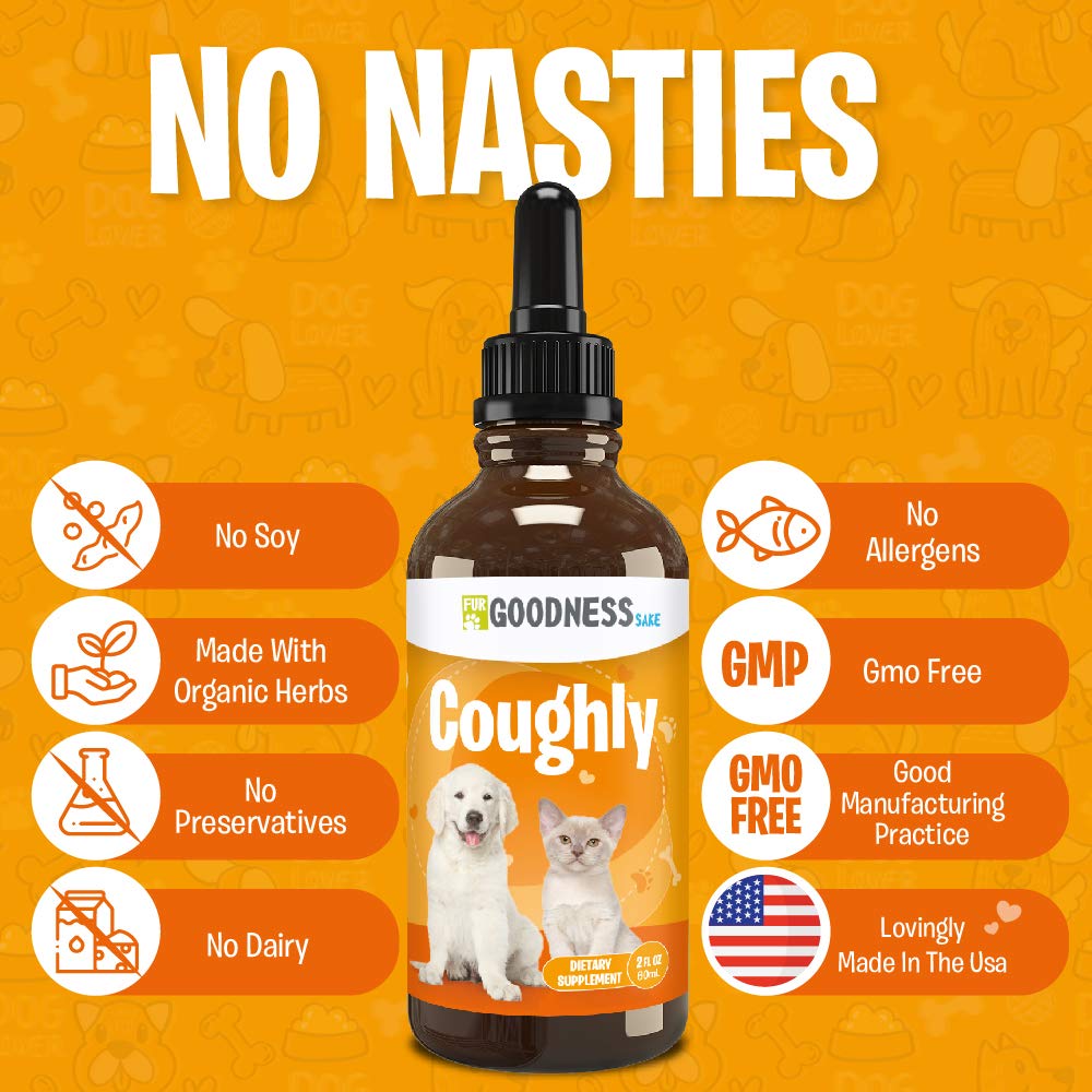 kennel cough cure at home