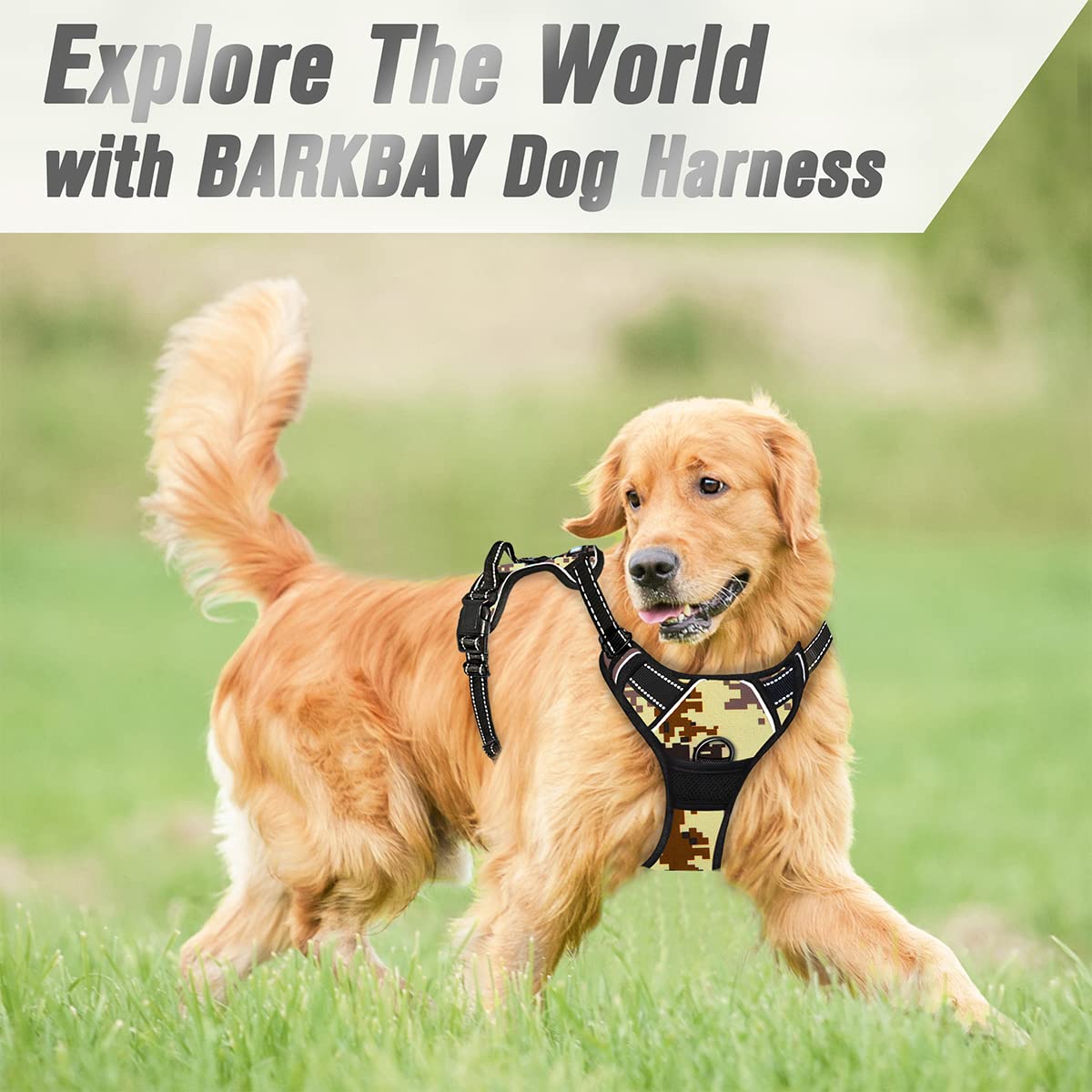 View 9