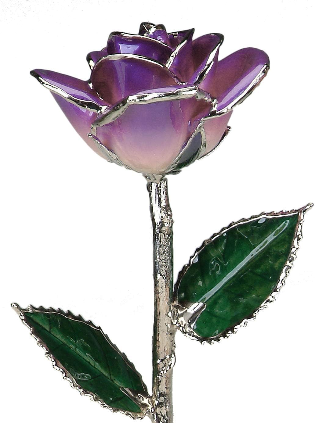 11" 2-Tone Purple Platinum Dipped Real Rose