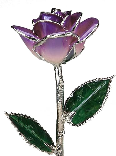 Rosa real bañada en platino púrpura de 2 tonos de 11"