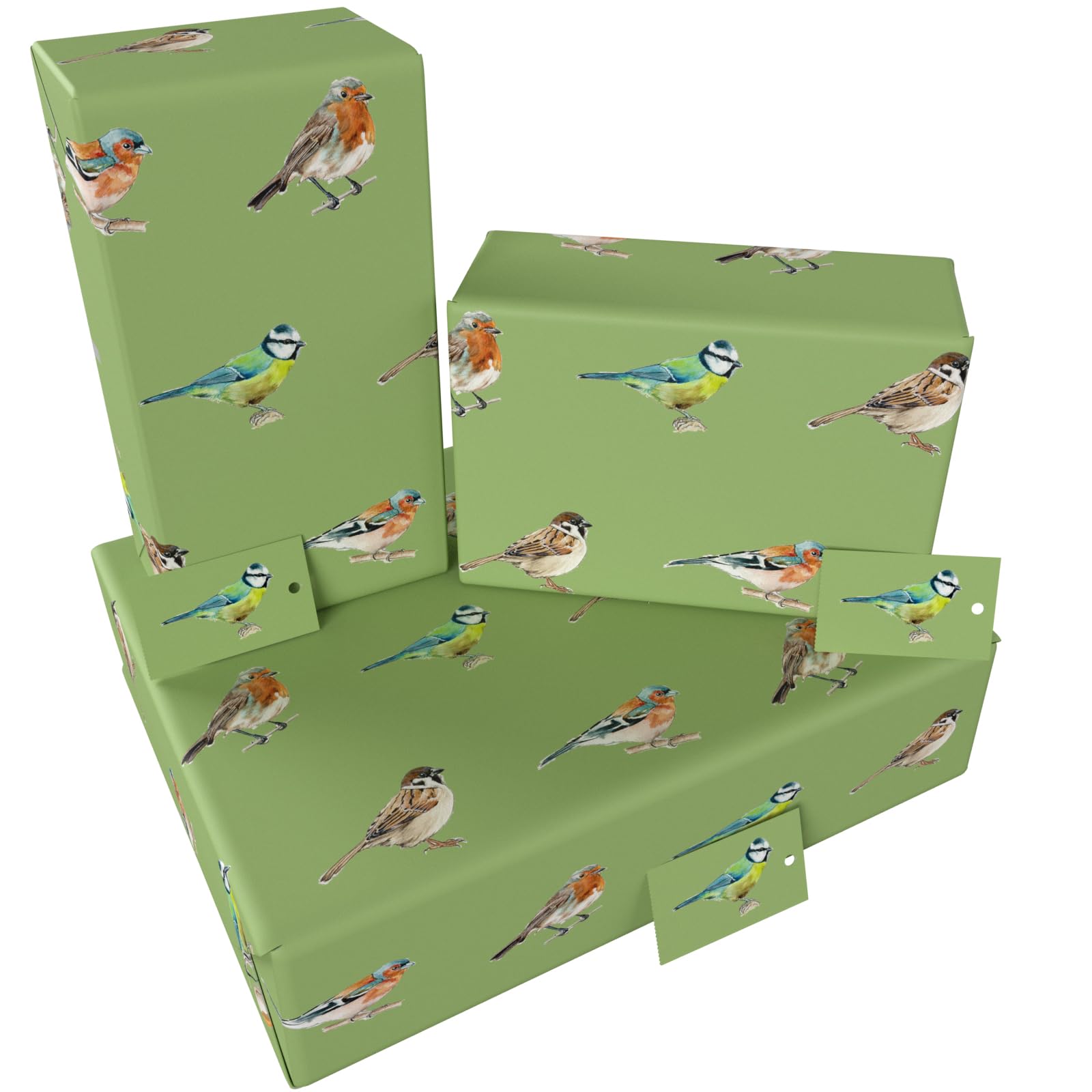 Luxury ECO Gift Wrap - 3 sheets/tags - Green Native Birds - Birthday - Recycled & Recyclable Wrapping Paper - Re-wrapped