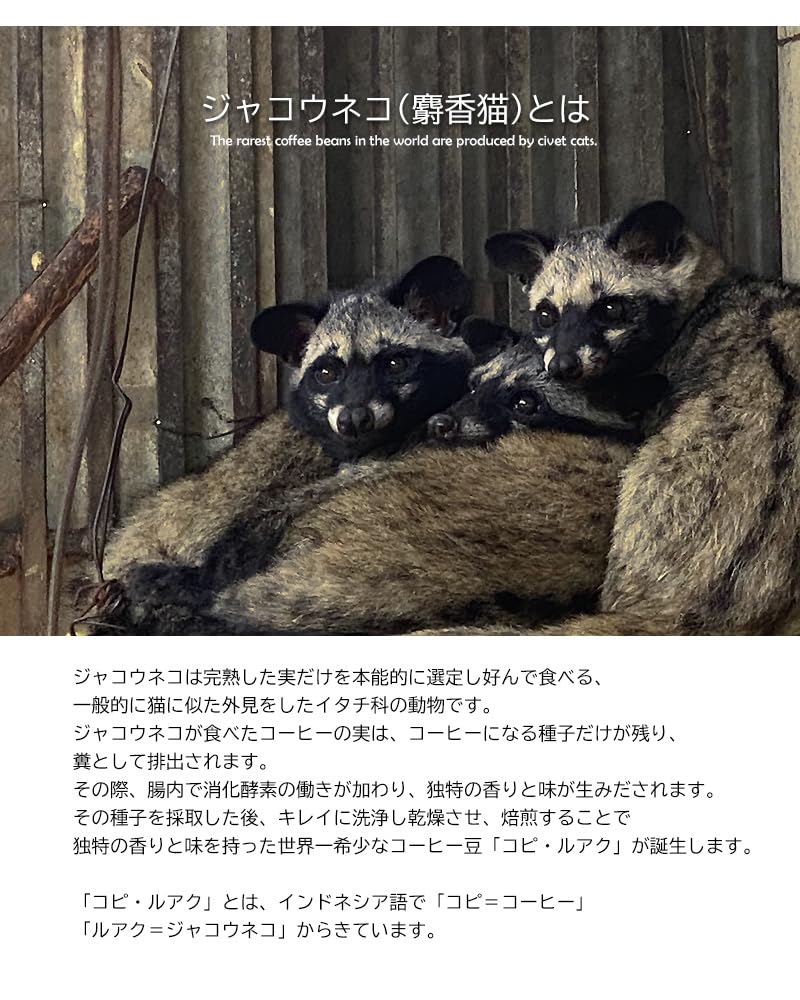 Amazon | ジャコウネココーヒー コピルアク ブレンド アラビカ種 豆