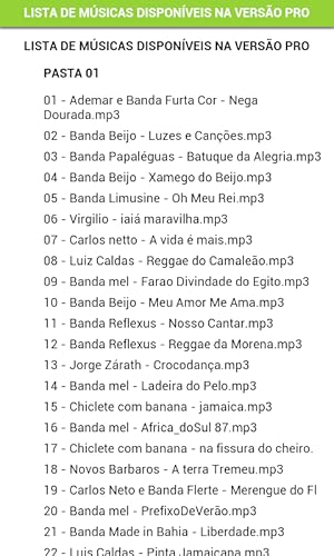 Bahia Carnaval e Cerveja Pro