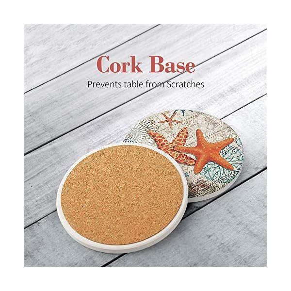 Absorbent coasters stone coaster set of 8 cork base with holder raypard beach theme sea life coastal coasters for housewarming apartment kitchen room bar decorocean lifeblack holder  urban country home decor