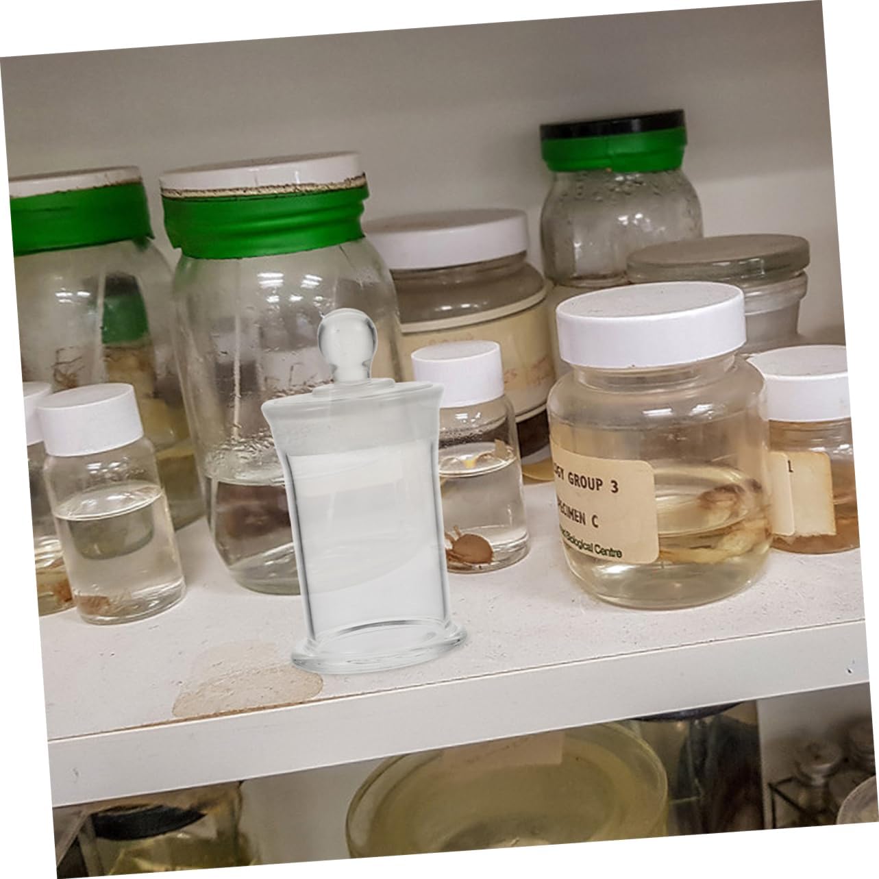 Cabilock Borosilicate Glass Shot Bottles Heat Resistant Specimen Vials Lids for Experiments