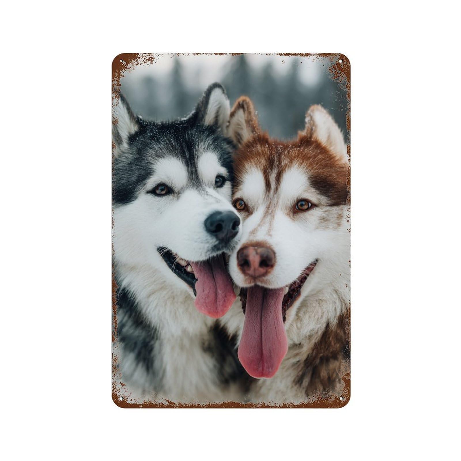 Snowy Husky Pair Distressed Metal Wall Sign 11.8"x7.9", Rustic Home Decor for Living Room, Hallway And Home Decor