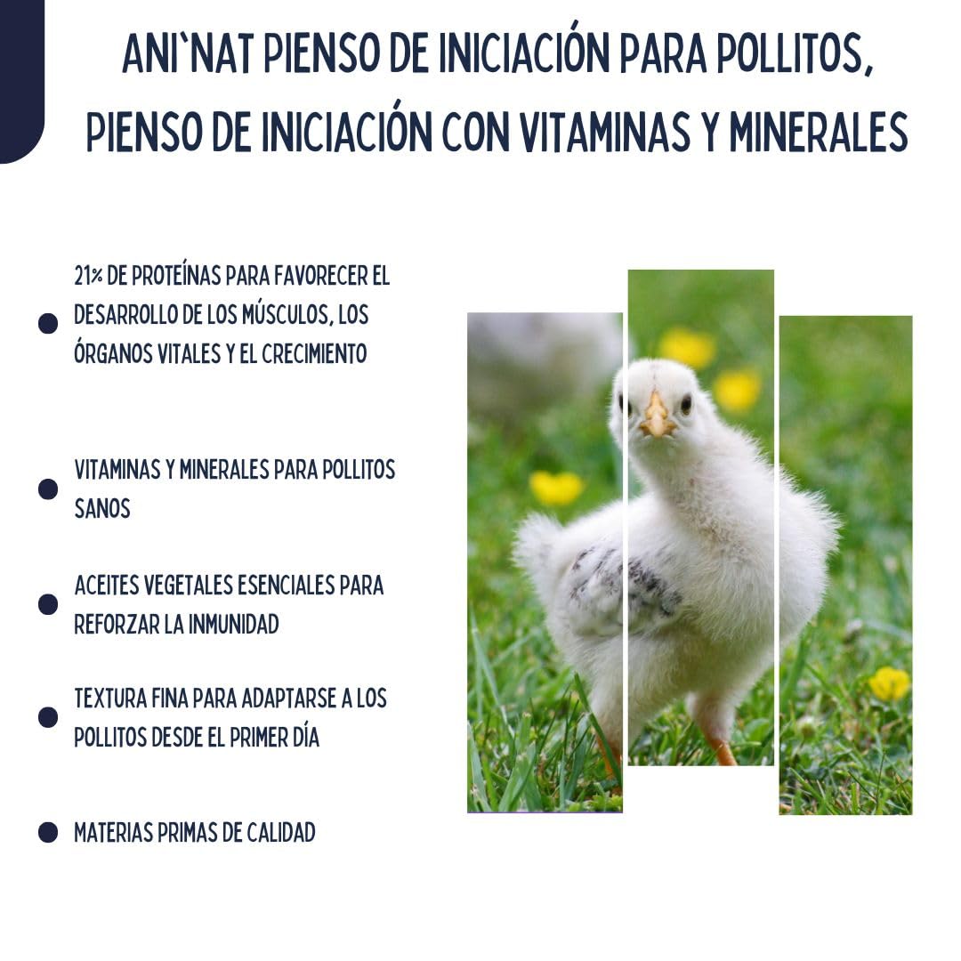 AniNat Alimento de Inicio para Pollitos, Comida de Primera Edad con vitaminas, proteínas y minerales, aceites Esenciales. Apto Desde el Nacimiento. Sin OGM. Sin antibióticos