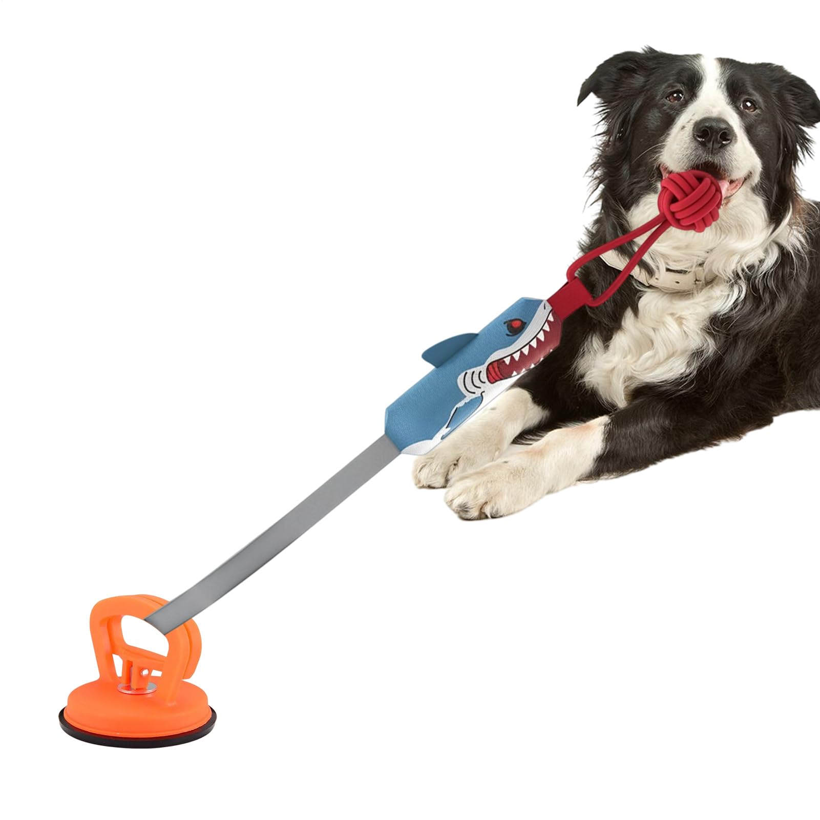 Jouets pour chiens pour les occuper longtemps : corde interactive et pouic-pouic