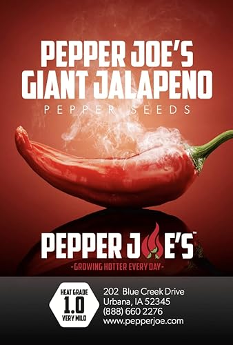 Miniatura 3 de Pepper Joe's Semillas de pimiento jalapeño gigante, paquete de más de 50 semillas exclusivas de pimiento picante, cultivadas en Estados Unidos,