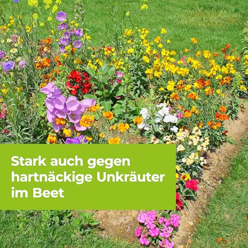 PROTECT GARDEN Permaclean Duo Unkrautvernichter & Wurzel Ex, 500 ml – Ansicht 5