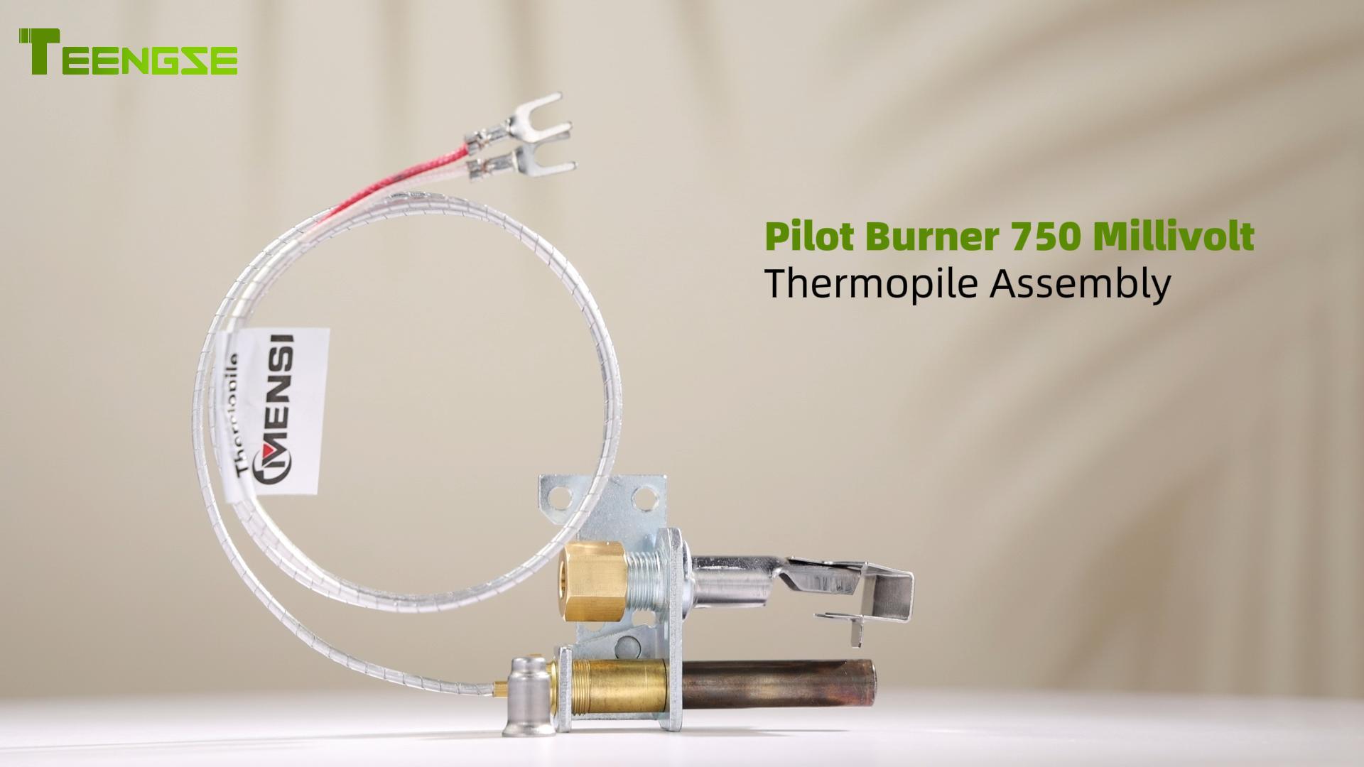 Amazon.com - TEENGSE Pilot Burner 750 Millivolt Thermopile