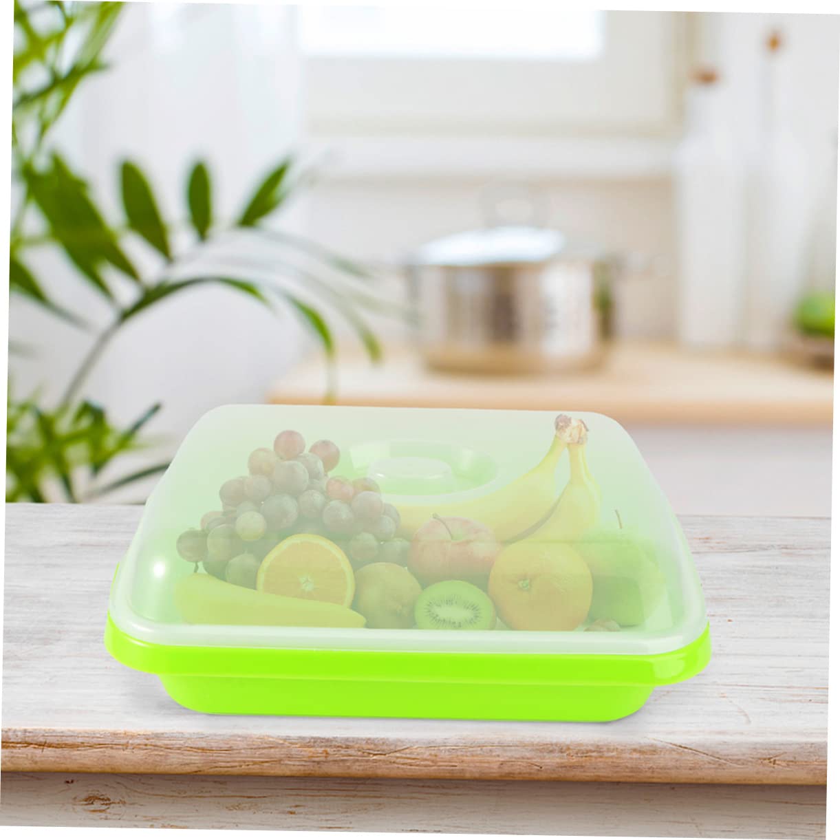 Bandeja de Cultivo para Brotes Tapa, 2 Juegos, Plástico Verde