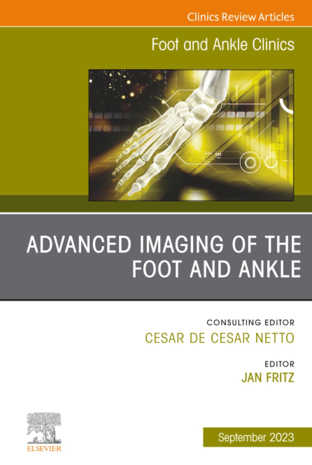 Advanced Imaging of the Foot and Ankle, an Issue of Foot and Ankle Clinics of North America: Volume 28-3