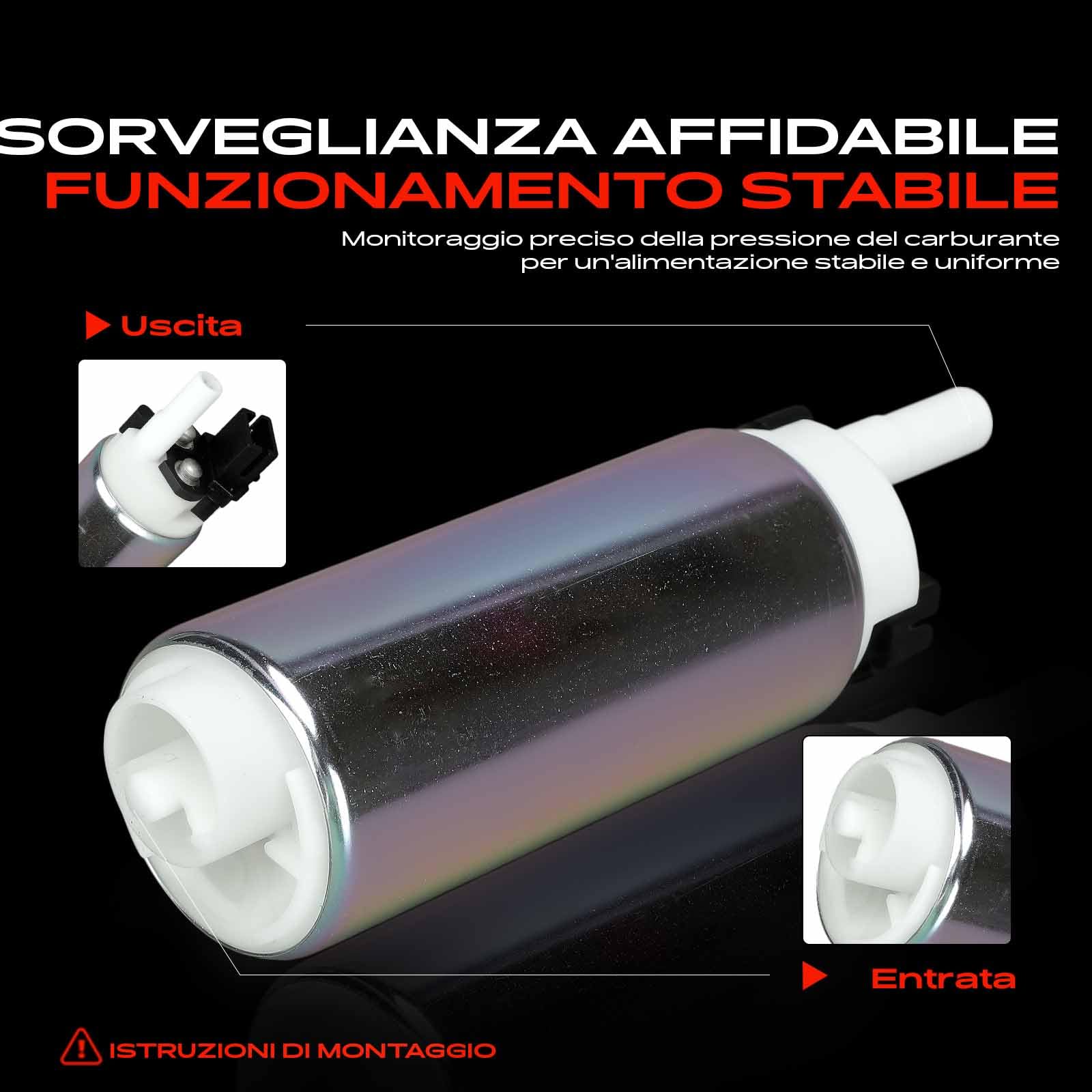 Frankberg Pompa carburante Pompa Benzina Unità pompa 12v senza filtro