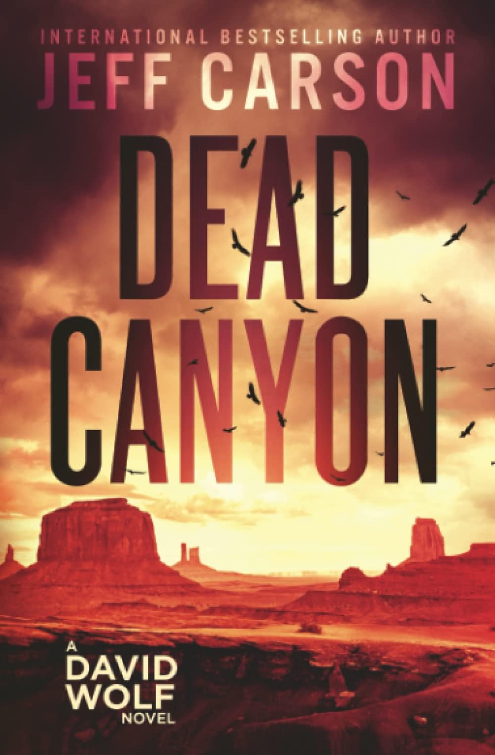 Dead Canyon (David Wolf Mystery Thriller Series) Paperback โ November 7, 2022