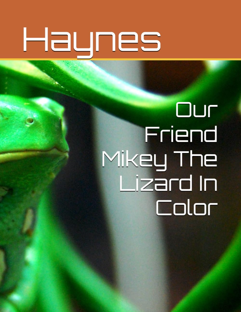 Our Friend Mikey The Lizard In Color