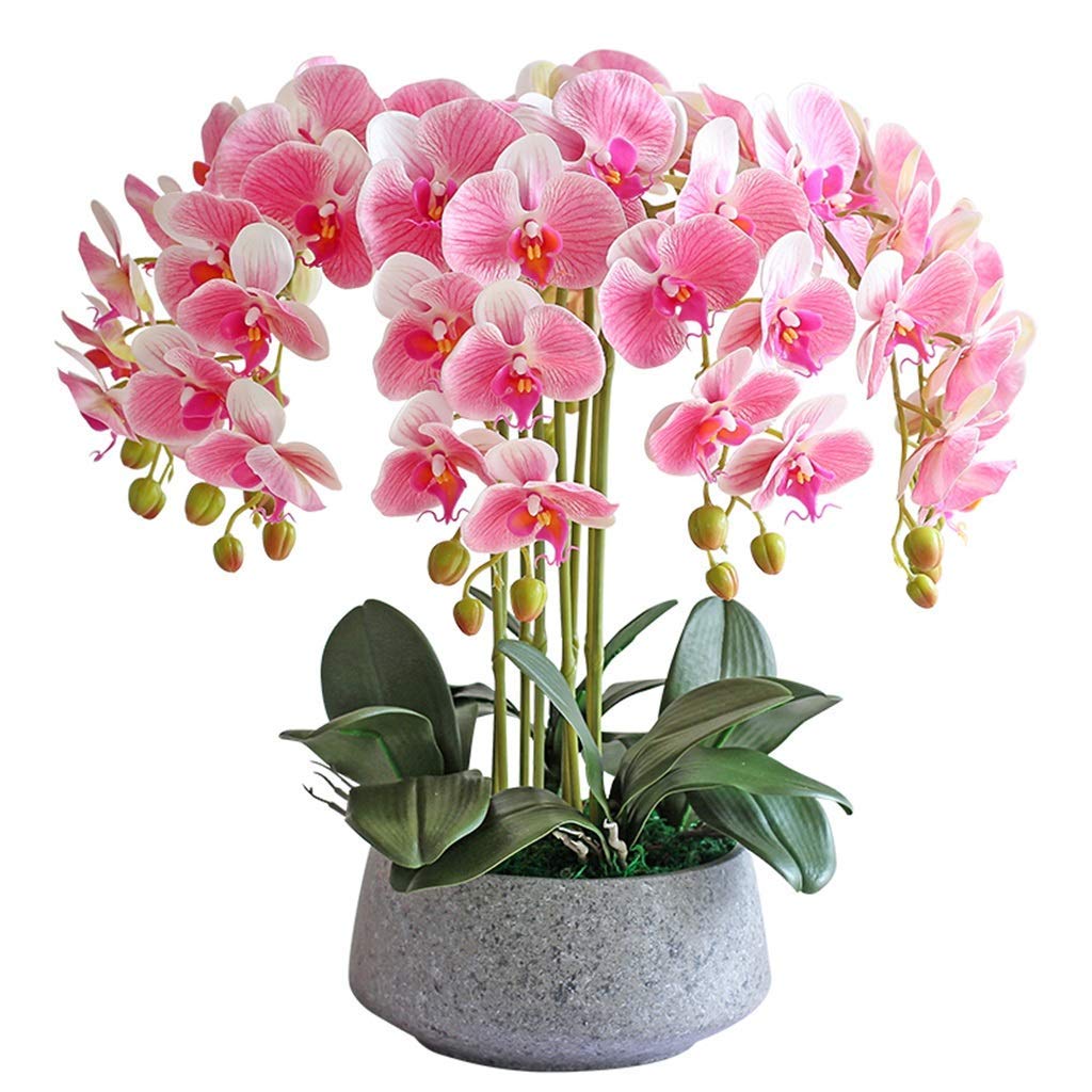 XDLEDMKIZ Artificial Flower in Pot Artificial Flowers with Ceramics Vase Furnishing Decoration Potted Plants Butterfly Orchid Set for Home Decorent Table Centerpieceentor : In