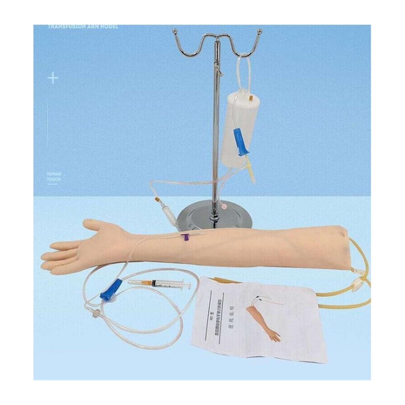 Naturalnej wielkości anatomiczny flebotomia wenipunktura ćwiczenie ramię anatomia ćwiczenia wstrzykiwania medyczny symulator zestaw do szkolenia pielęgniarki Dla początkujących majsterkowiczów(B)